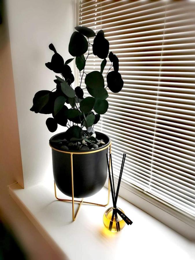 Vyturiai - Nauju Apartamentu Nuoma Sventojoje Šventoji Εξωτερικό φωτογραφία